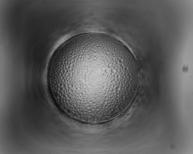 X0000103500008200809121751