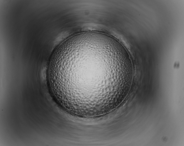 X0000103500010200809121751