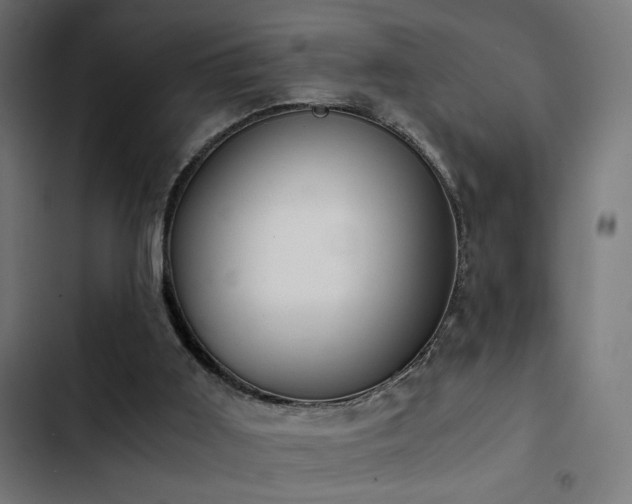 X0000103500011200809121751