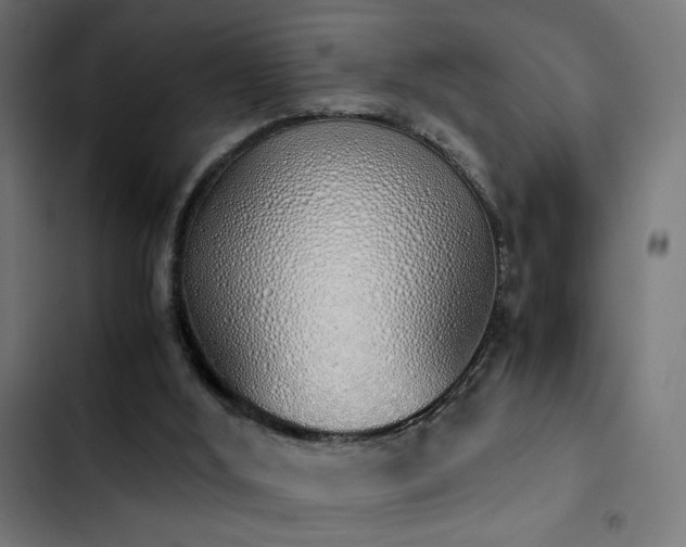 X0000103500012200809121751