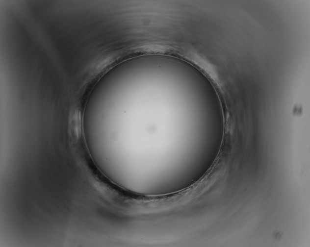 X0000103500013200809121751