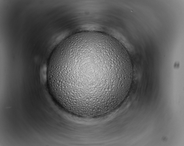 X0000103500014200809121751