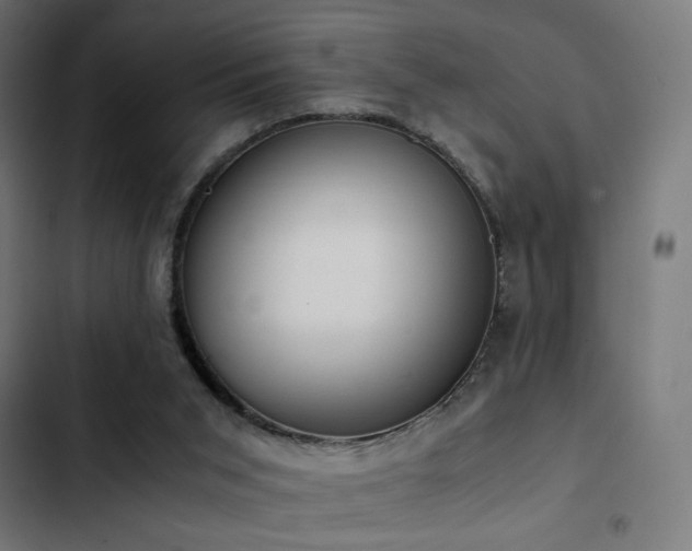 X0000103500015200809121751