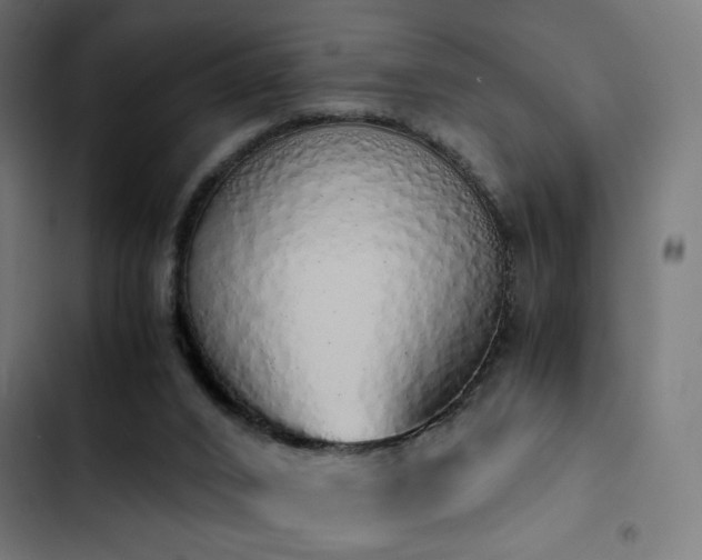 X0000103500016200809121751