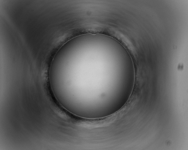 X0000103500017200809121751