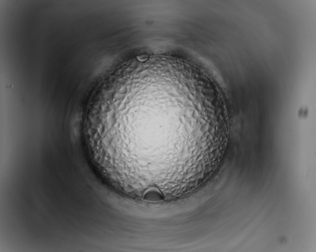 X0000103500018200809121751