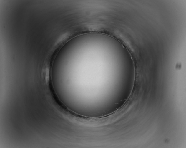 X0000103500019200809121751