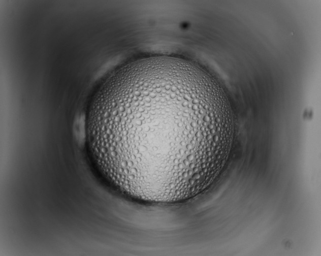 X0000103500020200809121751