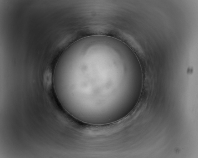 X0000103500021200809121751