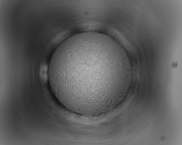 X0000103500022200809121751