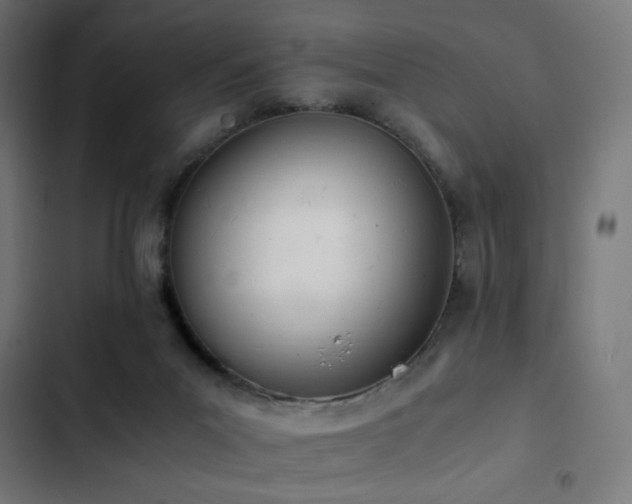 X0000103500023200809121751