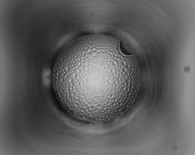 X0000103500024200809121751