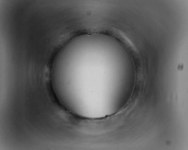 X0000103500025200809121751