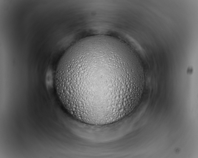 X0000103500026200809121751