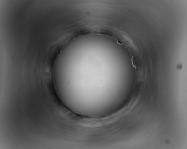 X0000103500029200809121751