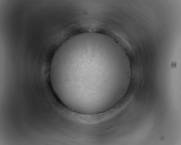 X0000103500030200809121751