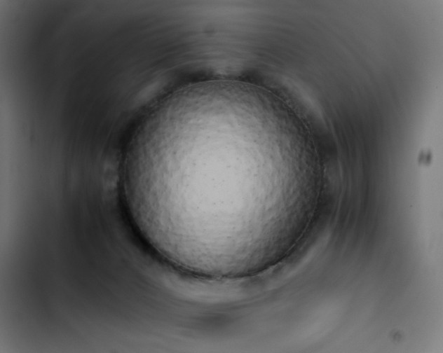 X0000103500032200809121750