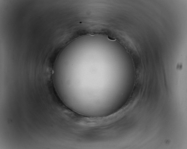 X0000103500033200809121750