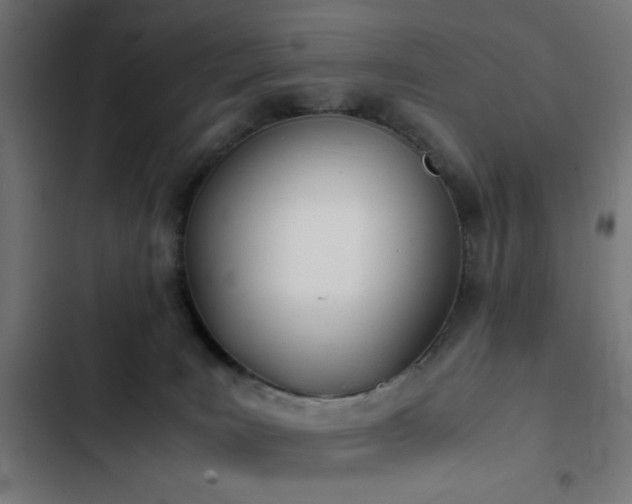 X0000103500035200809121750