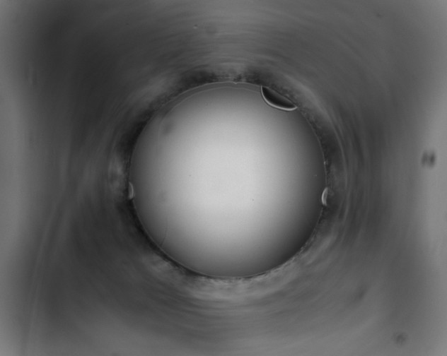 X0000103500037200809121750