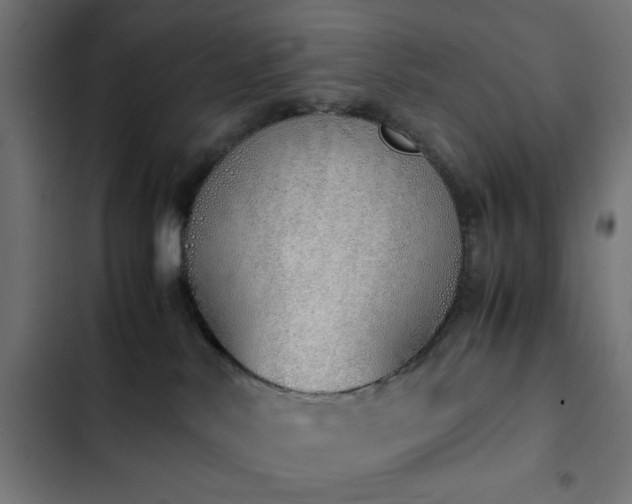 X0000103500042200809121750