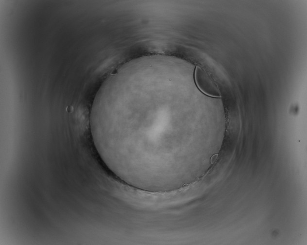 X0000103500043200809121750