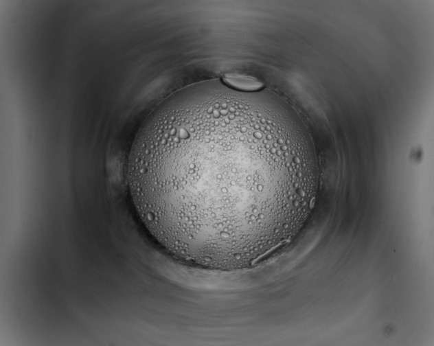 X0000103500044200809121750