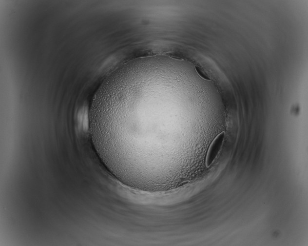 X0000103500046200809121750