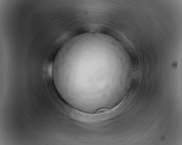 X0000103500047200809121750