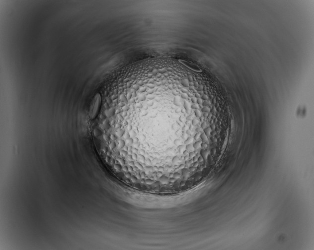 X0000103500048200809121750