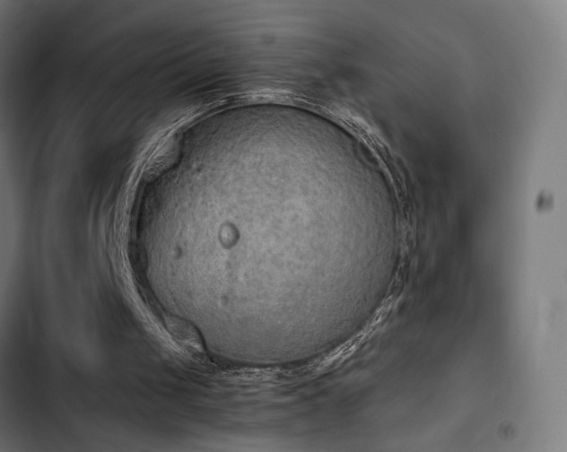 X0000103500049200809121749