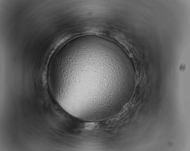 X0000103500050200809121749