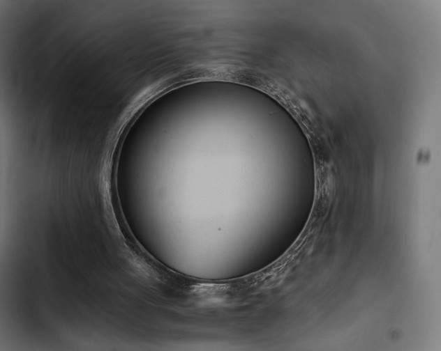 X0000103500051200809121749