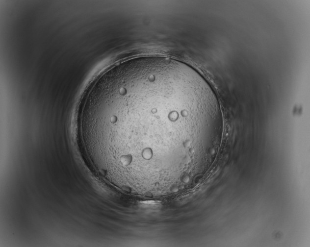 X0000103500053200809121749