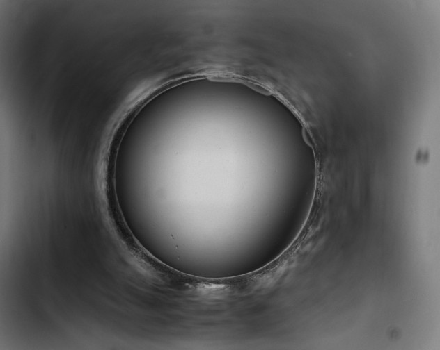 X0000103500055200809121750