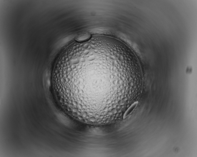 X0000103500062200809121750