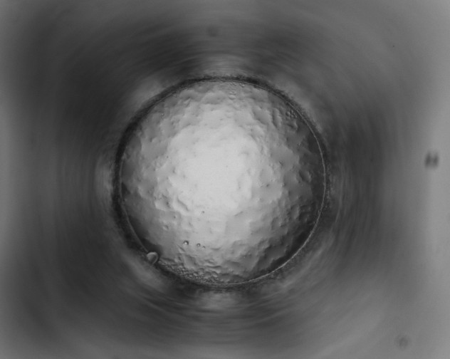 X0000103500063200809121750