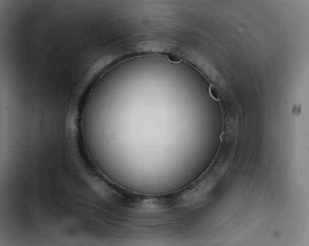 X0000103500064200809121750