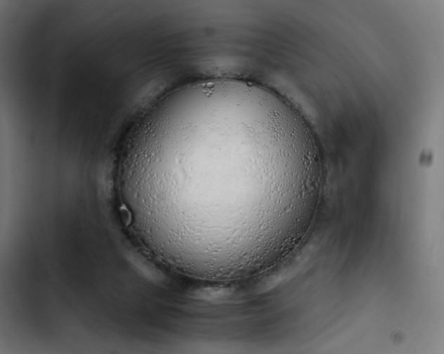 X0000103500065200809121750