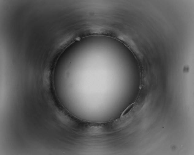 X0000103500066200809121750