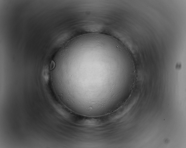 X0000103500069200809121750