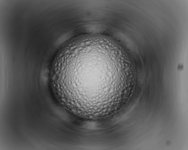 X0000103500071200809121750