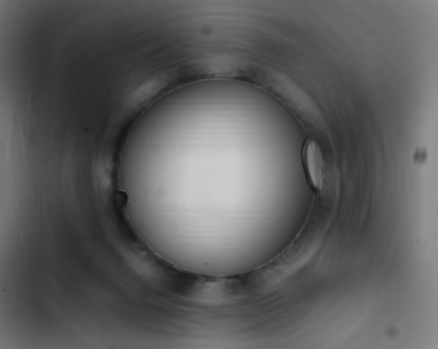 X0000103500072200809121750