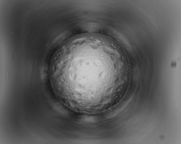 X0000103500073200809121750