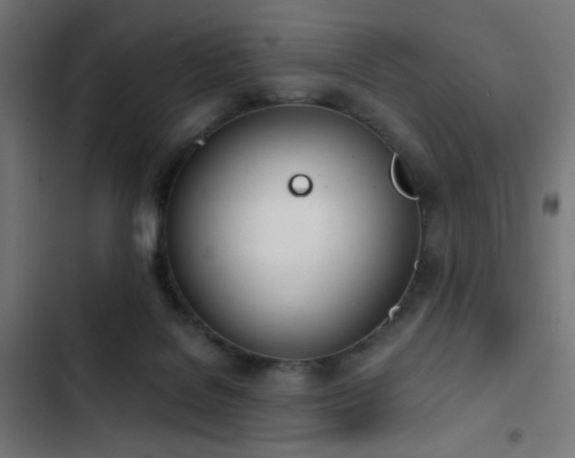 X0000103500076200809121750