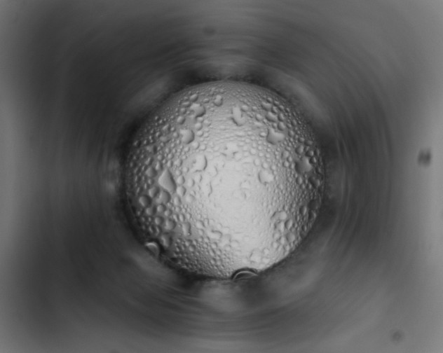 X0000103500077200809121750