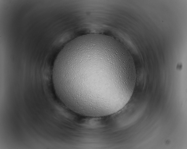 X0000103500078200809121750