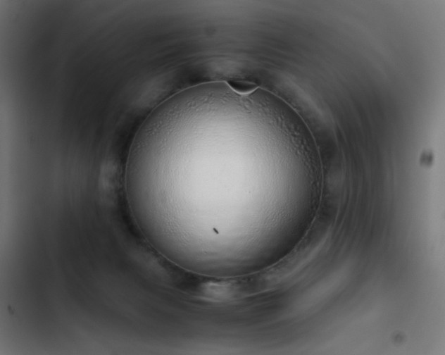 X0000103500079200809121750