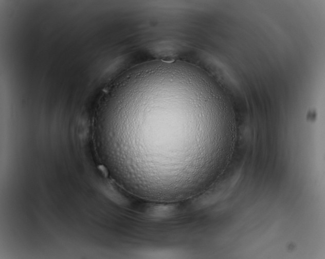 X0000103500081200809121750