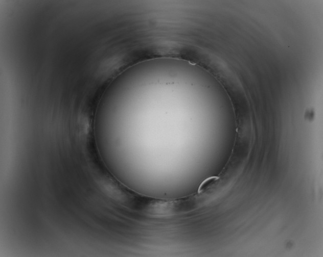 X0000103500084200809121750